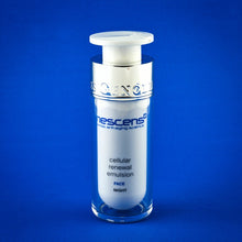 Cargar imagen en el visor de la galería, 94.jpg